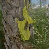 Rosita Bottom - Limeaid
