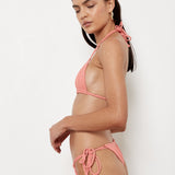Conch Bottom - Hibiscus Rib