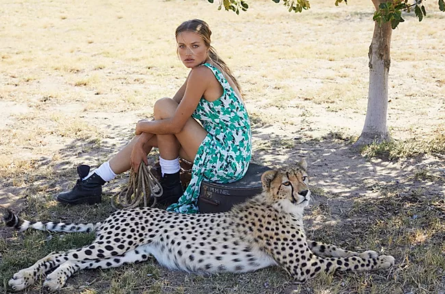 CHEETAH OUTREACH - FALL 2019