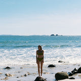 Bambi Bottom - Sea Kelp Eco Rib