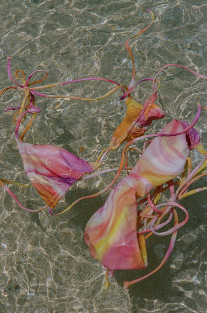 Conch Bottom - Watercolor