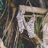 Flora Top - Le Tigre