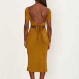 Poet Skirt - Earth