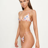 Palmer Bottom - Seashells - Eco