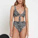 Felix Top - Cheetah - Eco